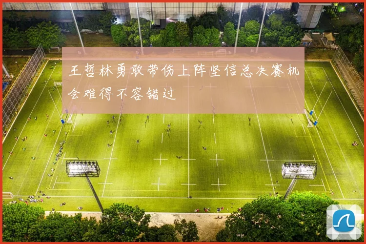王哲林勇敢带伤上阵坚信总决赛机会难得不容错过