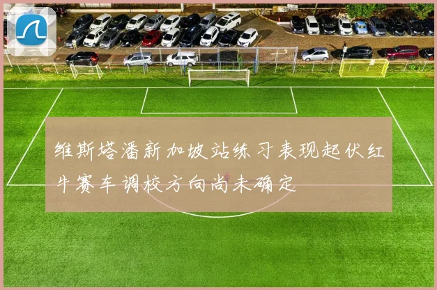 维斯塔潘新加坡站练习表现起伏红牛赛车调校方向尚未确定